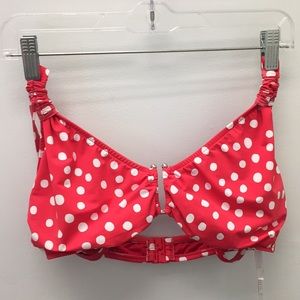 DD/F cup bikini